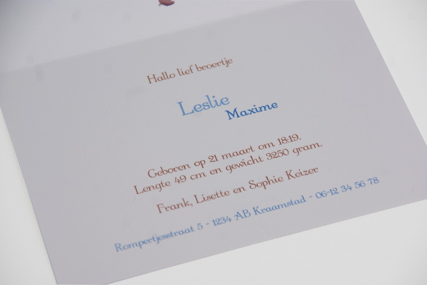 geboortekaartje leslie lichtblauw